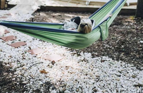 Lynchburg Cabin | Spirit Lodge ~ Upscale Camping in Authentic Tipi
