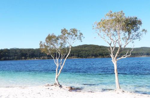 Kingfisher Bay Apartment | Splendid 705 Cooloola Villa, Kingfisher Bay K'gari Fraser Island