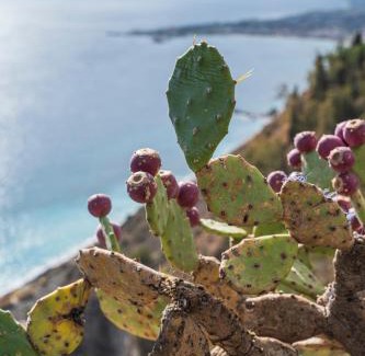Taormina City Centre Apartment | Splendida Casa A Taormina " Casa di Anna "