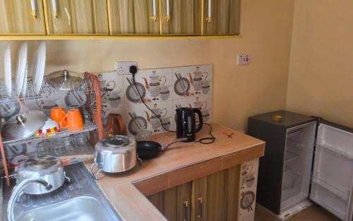 Wang'uru Apartment | Spoonbill Snug Spot BnB