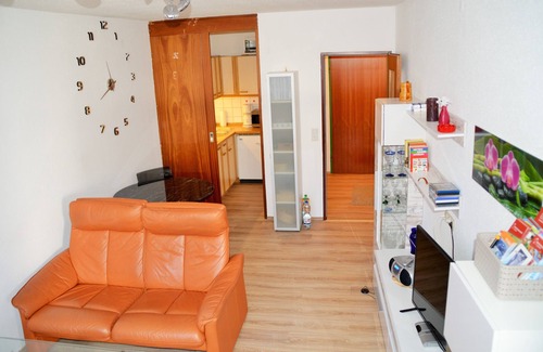 Schluchsee Apartment | Sport, fun, relaxation and enjoyment with Adam and Eve on the Schluch
