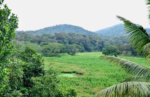 Kumily House | Sport on Hills queen Rooms