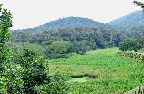 Kumily House | Sport on Hills queen Rooms