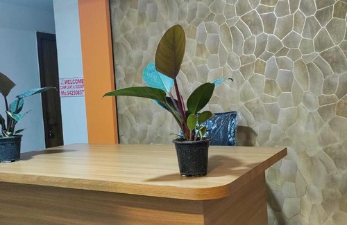 Dindori Hotel | SPOT ON 91877 Hotel Pandav