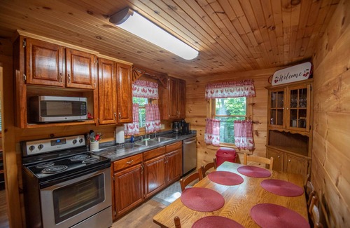 Warrensville Cabin | Spout Branch Cabin - On The New River - Firepit - Fishing