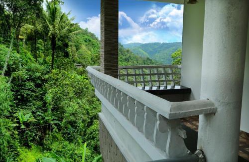 Pirmed House | Spring and Valley View