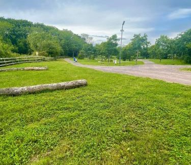 Newport Other | Springfield Oaks campsite