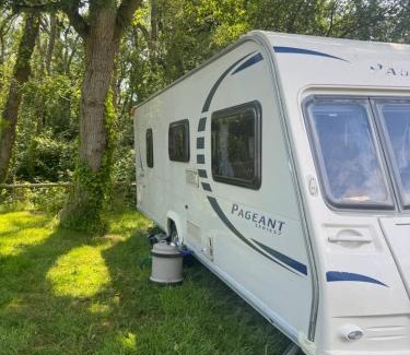 Newport Other | Springfield Oaks campsite