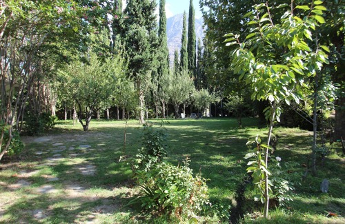 Gilgit House | Springfield