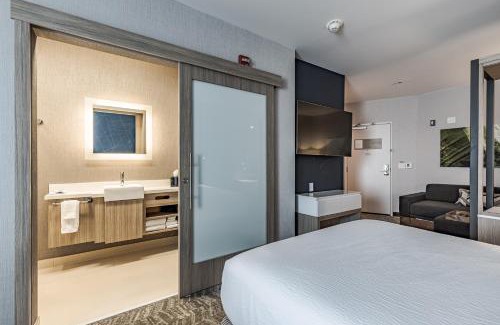 Saint Marys  Allen County Hotel | SpringHill Suites by Marriott Fort Wayne Southwest