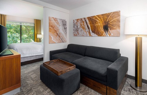 Asheville Hotel | SpringHill Suites by Marriott Asheville