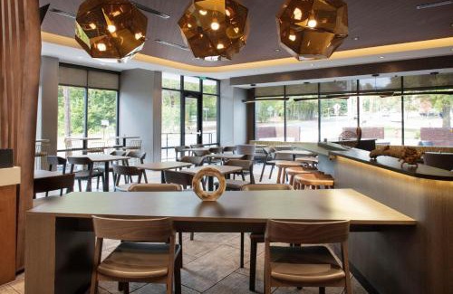 Durham Hotel | SpringHill Suites By Marriott Durham City View