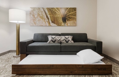 Solon Hotel | SpringHill Suites by Marriott Cleveland/Solon