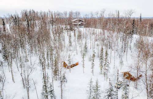 Talkeetna Cabin | Spruce Cabin