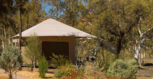 White Gums Other | Squeakywindmill Boutique Tent B&B