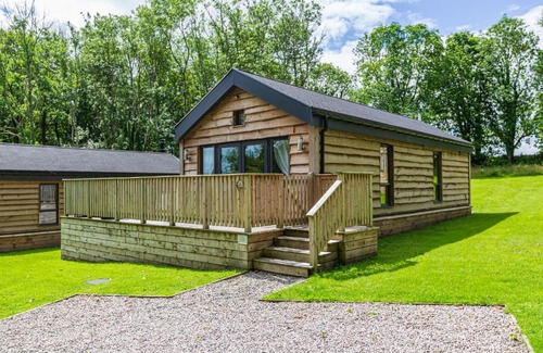 Newton Stewart Ski Chalet | Squirrel Lodge 41 with Hot Tub