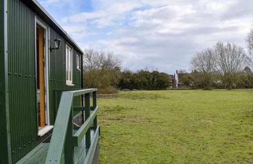 Five Oak Green Other | Squirrels-oaks