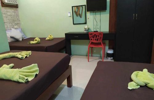 El Nido Bed & Breakfast | St. John Island View Pensionne