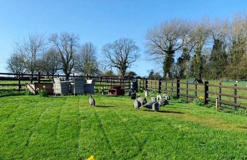 East Norton House | Stables Cottage at Tilton on the Hill, Leicestershire