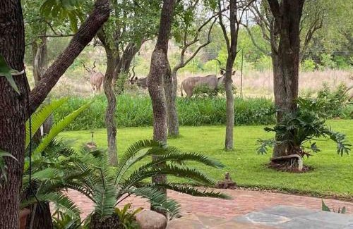 Marloth Park House | Stadigies Self-Catering Accommodation
