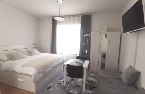 Miltenberg Apartment | Stadtappartement Miltenberg Perle am Main