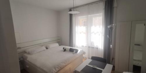Miltenberg Apartment | Stadtappartement Miltenberg Perle am Main