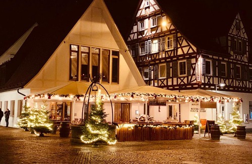 Kirchheim unter Teck Hotel | Stadthotel Waldhorn
