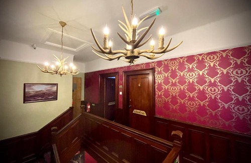 Elgin House | Stag and Barrel