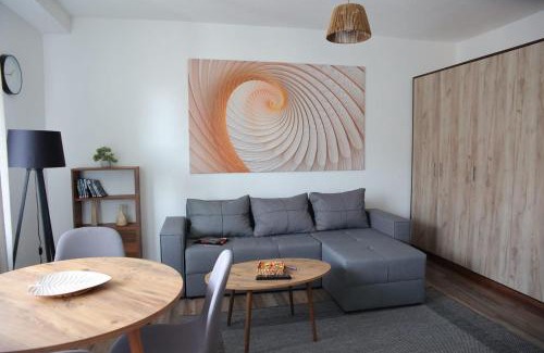 Paracin Apartment | Stan na dan