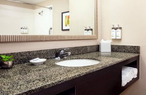 Ocotillo House | Standard King at Holiday Inn Phoenix Chandler - Outdoor Pool & Pets are Welcome!