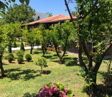 Gjerana House | Stanovic Bungalow