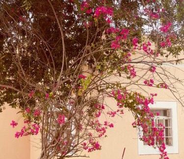 Salalah Villa | Star Emirates Garden Villas Salalah