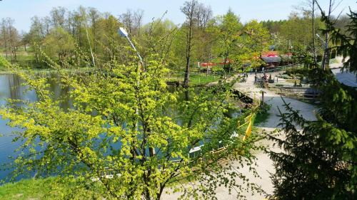 Kierwik Bed & Breakfast | Stara Papiernia Zielony Lasek