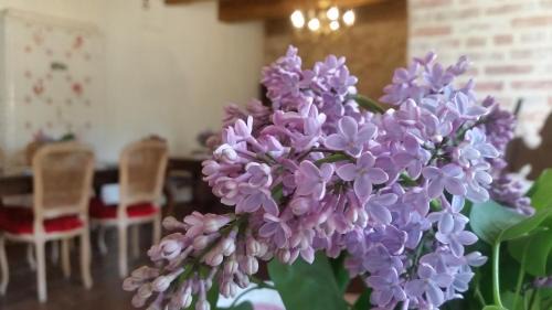 Kierwik Bed & Breakfast | Stara Papiernia Zielony Lasek