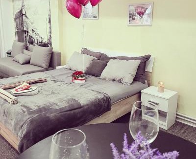 Zajecar Apartment | Stari Zaječar apartments