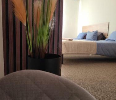 Zajecar Apartment | Stari Zaječar apartments