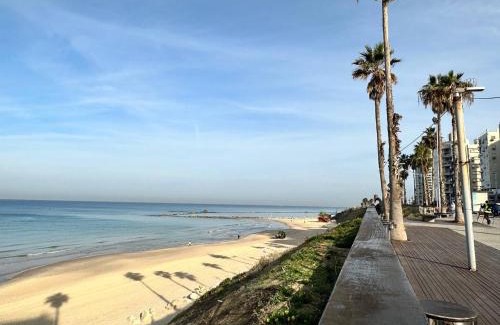 Bat Yam Apartment | Starknet