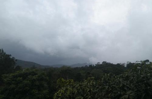 Madikeri Apartment | Starline Coorg Homestay