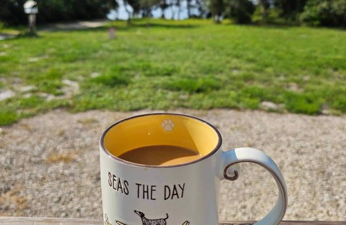 Eastpoint House | Starry Night Cottage with a Bay View and perfect for outdoor lovers!