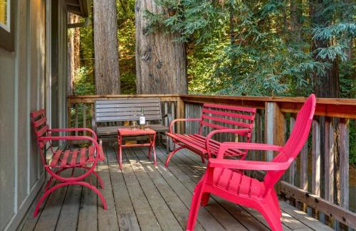 Forest Hills House | Starry Nights - River Wineries Huge Fenced Yard