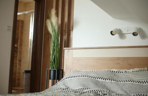 Central Serbia Apartment | Start Apartments LUX KOPAONIK