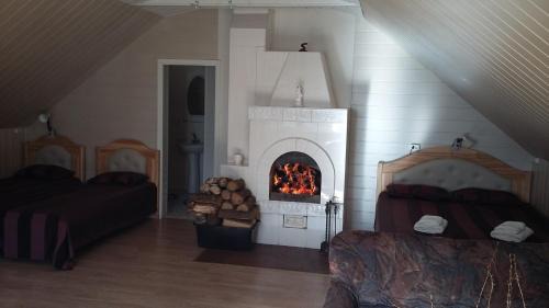 Raudone House | Stasio Balseviciaus Homestead