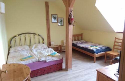 Olsany Hotel | Statek Olšany