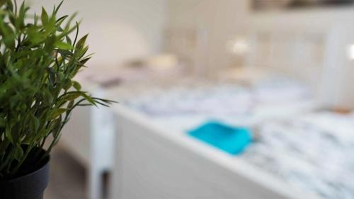 Hassels Apartment | Stay and Work Düsseldorf