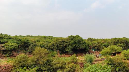 Mahabaleshwar Hotel | Stay Classy Inn