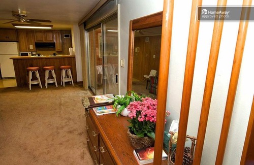 Riverside Apartment | Stay Close to Soco, Downtown, and Artsy East Austin