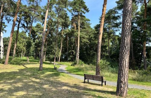 Bad Saarow Apartment | Stay Cozy - Apartment am See mit Pool und Sauna