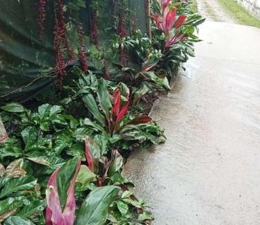 Chikkamagaluru House | Stay in Green Homestay hirakolale back water Chikmagalur 577101