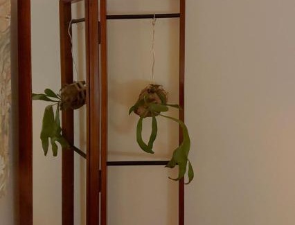 Seocho-gu Apartment | Stay Namhyeon