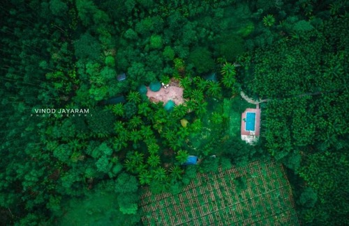 Kushalnagar Resort | STAYMAKER Coorg Jungle Stay Resort